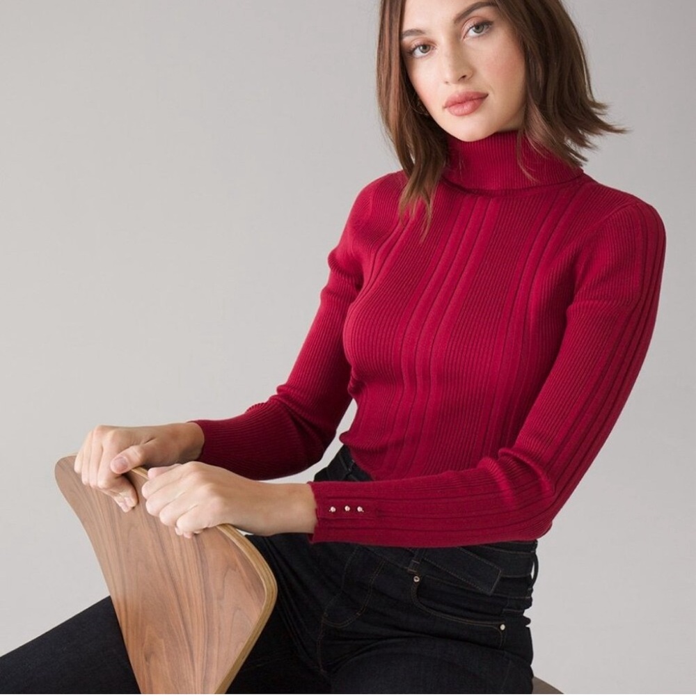 Ribbed Turtleneck Bloodstone